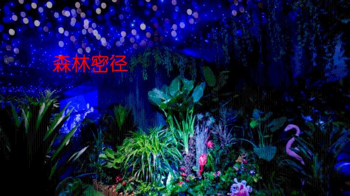 加入大厨分享清蒸石斑鱼完整做法,记住这几点蒸出的鱼鲜香又嫩滑,开启知识星球的奇妙之旅!